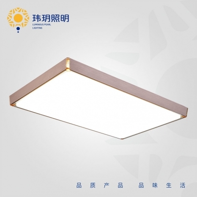 LED面板(ban)灯做(zuo)到白天赏灯(deng)，晚(wan)上照(zhao)明的效果