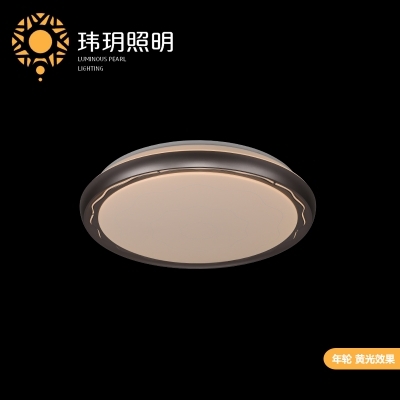 吸(xi)顶(ding)灯(deng)它有(you)良好的散(san)热效果(guo)