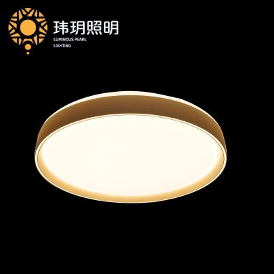 家(jia)装灯(deng)饰公司(si)